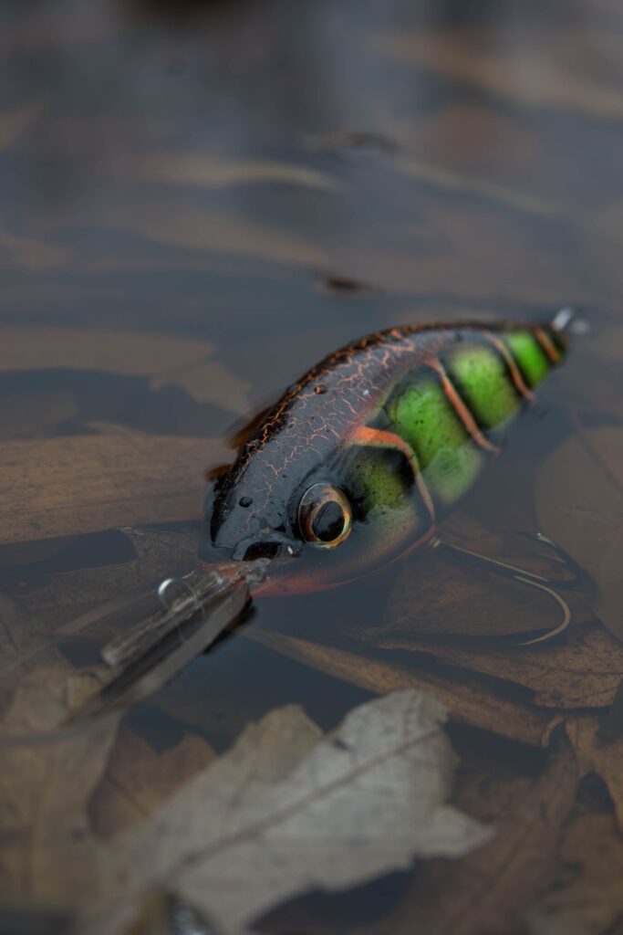 Crankbait de pesca flotando en el agua