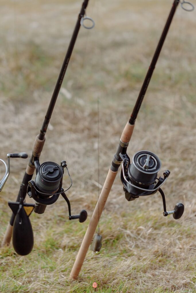 Cana de pesca Daiwa Ninja de spinning